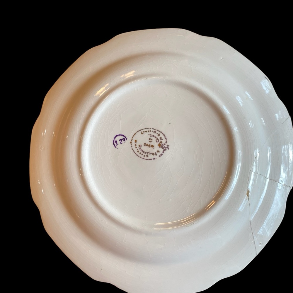 Vintage Kansas Sabin Crest-O-Gold Collector Plate 9.25" READ AS IS - Picture 2 of 3
